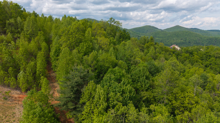 Wooded Land for Sale in Moravian Falls NC! - image 1