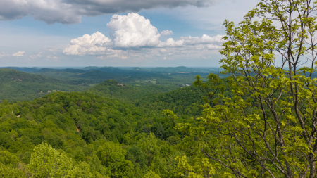 Wooded Land for Sale in Moravian Falls NC! - image 3