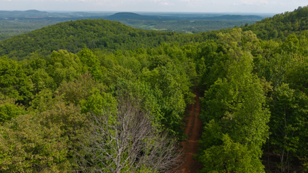 Wooded Land for Sale in Moravian Falls NC! - image 5