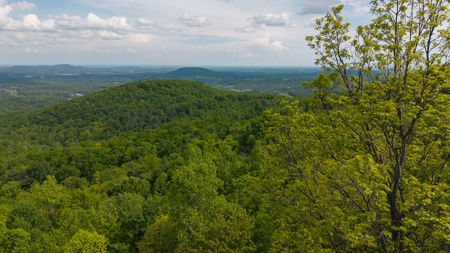 Wooded Land for Sale in Moravian Falls NC! - image 4