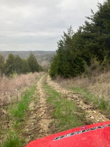 Kentucky Hunting Land & Recreational Land For Sale, Bath Co - image 4