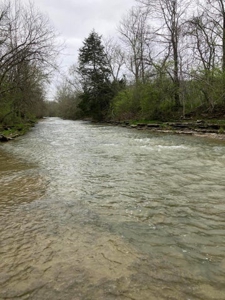 Kentucky Hunting Land & Recreational Land For Sale, Bath Co - image 3