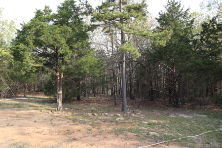 Ozarks Acreage And Building Sites For Sale Salem Arkansas - image 16
