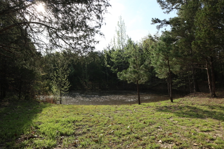 Ozarks Acreage And Building Sites For Sale Salem Arkansas - image 10