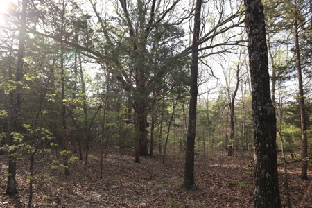 Ozarks Acreage And Building Sites For Sale Salem Arkansas - image 11