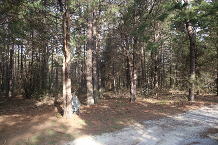 Ozarks Acreage And Building Sites For Sale Salem Arkansas - image 3