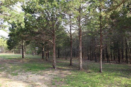 Ozarks Acreage And Building Sites For Sale Salem Arkansas - image 12