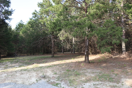 Ozarks Acreage And Building Sites For Sale Salem Arkansas - image 7