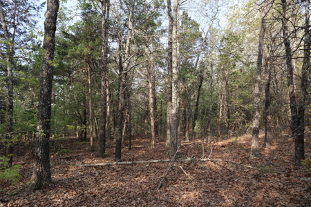 Ozarks Acreage And Building Sites For Sale Salem Arkansas - image 14