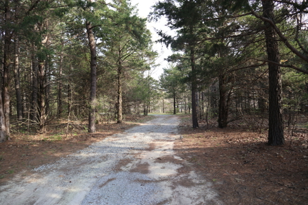 Ozarks Acreage And Building Sites For Sale Salem Arkansas - image 18