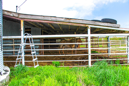 Land For Sale St. Clair County Missouri - image 46