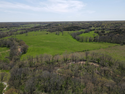 Land For Sale St. Clair County Missouri - image 3
