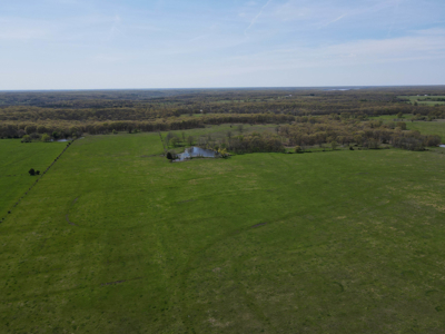 Land For Sale St. Clair County Missouri - image 27