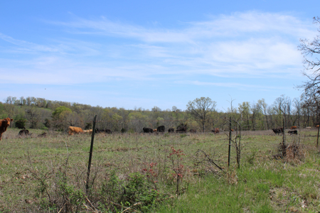 Land For Sale St. Clair County Missouri - image 41