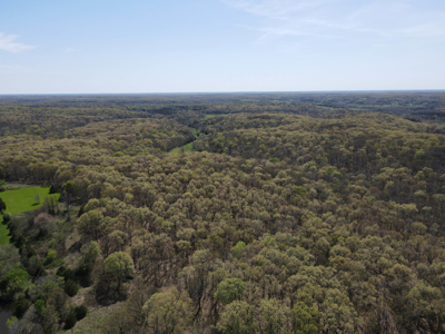 Land For Sale St. Clair County Missouri - image 30