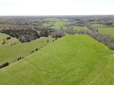 Land For Sale St. Clair County Missouri - image 20