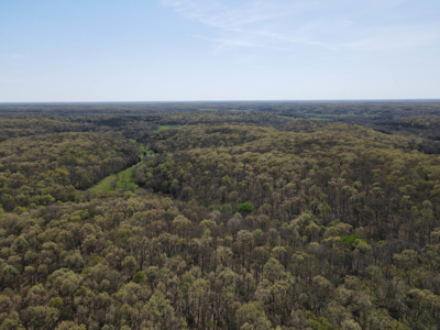 Land For Sale St. Clair County Missouri - image 11