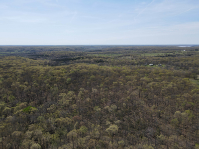Land For Sale St. Clair County Missouri - image 13