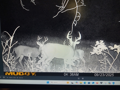 Land For Sale St. Clair County Missouri - image 50