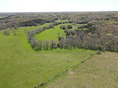 Land For Sale St. Clair County Missouri - image 9