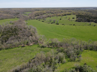 Land For Sale St. Clair County Missouri - image 16