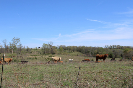 Land For Sale St. Clair County Missouri - image 37