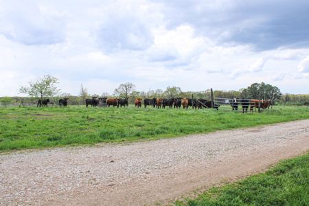 Land For Sale St. Clair County Missouri - image 42