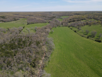 Land For Sale St. Clair County Missouri - image 17