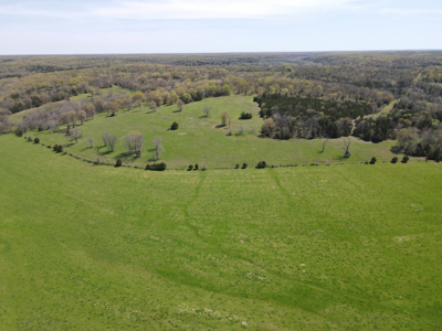 Land For Sale St. Clair County Missouri - image 15