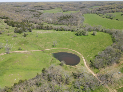 Land For Sale St. Clair County Missouri - image 5