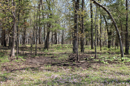 Land For Sale St. Clair County Missouri - image 9