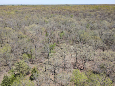 Land For Sale St. Clair County Missouri - image 28