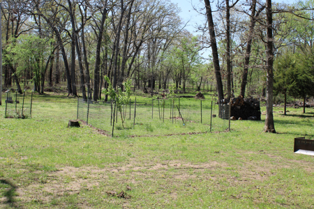 Land For Sale St. Clair County Missouri - image 13