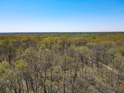 Land For Sale St. Clair County Missouri - image 17