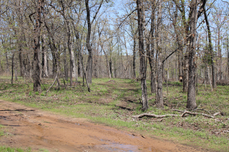 Land For Sale St. Clair County Missouri - image 11