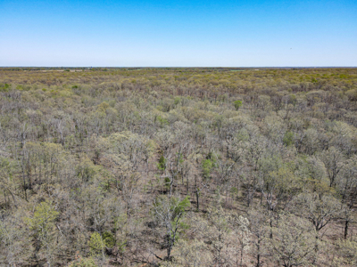 Land For Sale St. Clair County Missouri - image 29