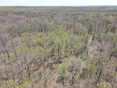 Land For Sale St. Clair County Missouri - image 27