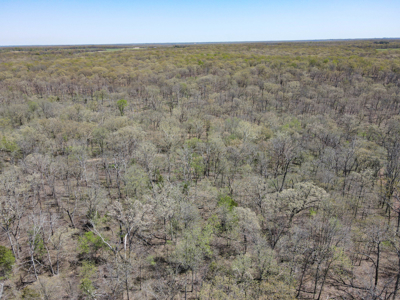 Land For Sale St. Clair County Missouri - image 19