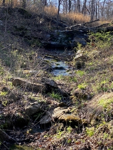 Land For Sale St. Clair County Missouri - image 31