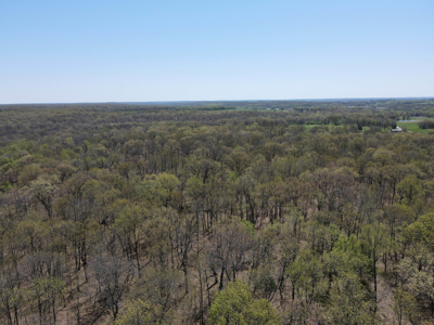 Land For Sale St. Clair County Missouri - image 18