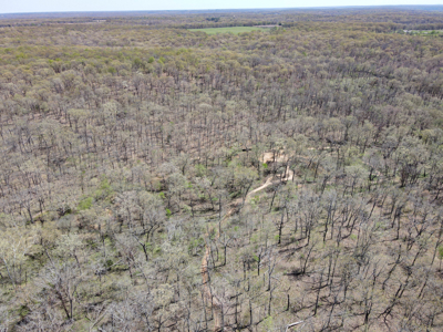 Land For Sale St. Clair County Missouri - image 30