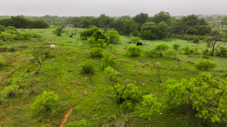 Small acreage for hunting residential and hunting Megargel, TX - image 4
