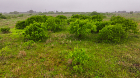 Small acreage for hunting residential and hunting Megargel, TX - image 29