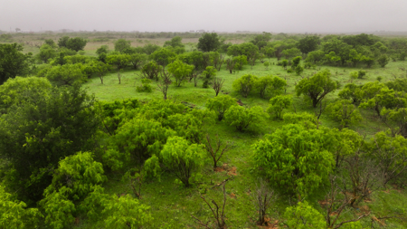 Small acreage for hunting residential and hunting Megargel, TX - image 15