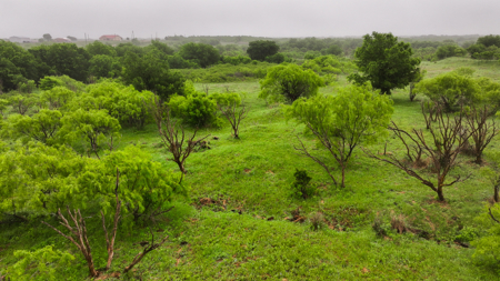 Small acreage for hunting residential and hunting Megargel, TX - image 32