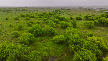 Small acreage for hunting residential and hunting Megargel, TX - image 11