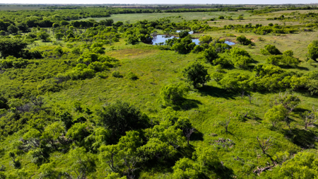 Small acreage for hunting residential and hunting Megargel, TX - image 49