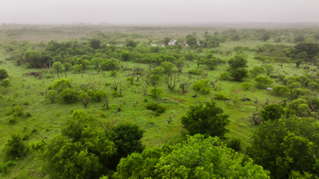 Small acreage for hunting residential and hunting Megargel, TX - image 16