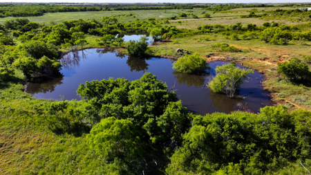 Small acreage for hunting residential and hunting Megargel, TX - image 50