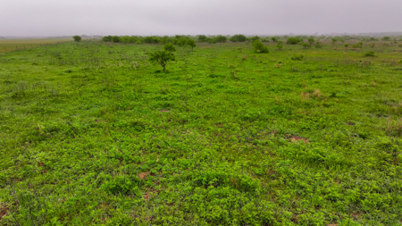 Small acreage for hunting residential and hunting Megargel, TX - image 34
